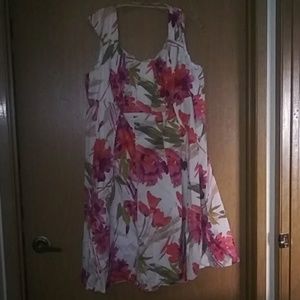 Plus Size Spring Floral Empire waist dress.